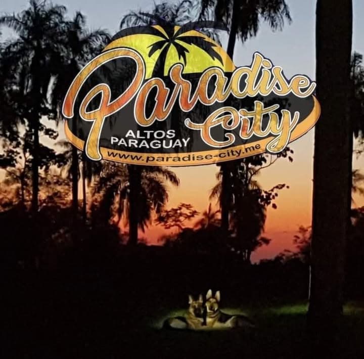 Paradise City Logo, Altos Paraguay, Hunde und Palmen im Sonnenuntergang